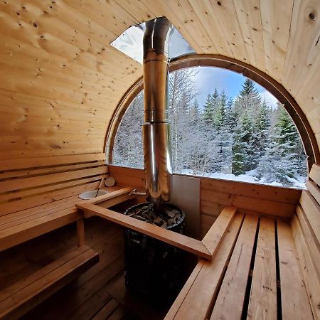 ג'רארדמר Chalet De Martimprey - Chalets - Gites - Chambres D' Hotes Et Spas מראה חיצוני תמונה
