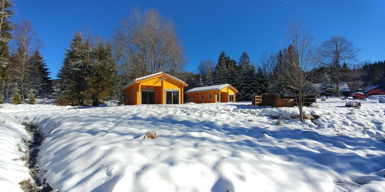 ג'רארדמר Chalet De Martimprey - Chalets - Gites - Chambres D' Hotes Et Spas מראה חיצוני תמונה