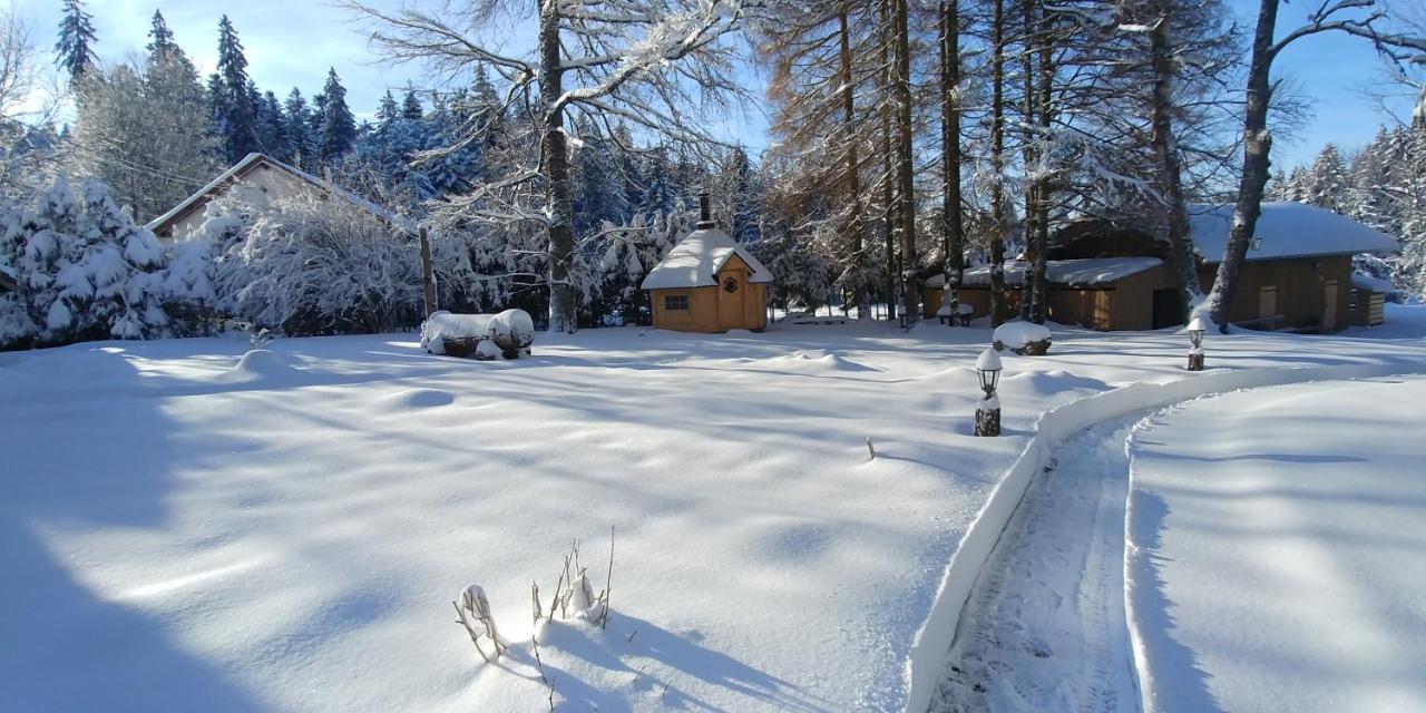 ג'רארדמר Chalet De Martimprey - Chalets - Gites - Chambres D' Hotes Et Spas מראה חיצוני תמונה