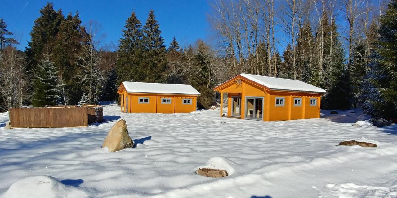 ג'רארדמר Chalet De Martimprey - Chalets - Gites - Chambres D' Hotes Et Spas מראה חיצוני תמונה