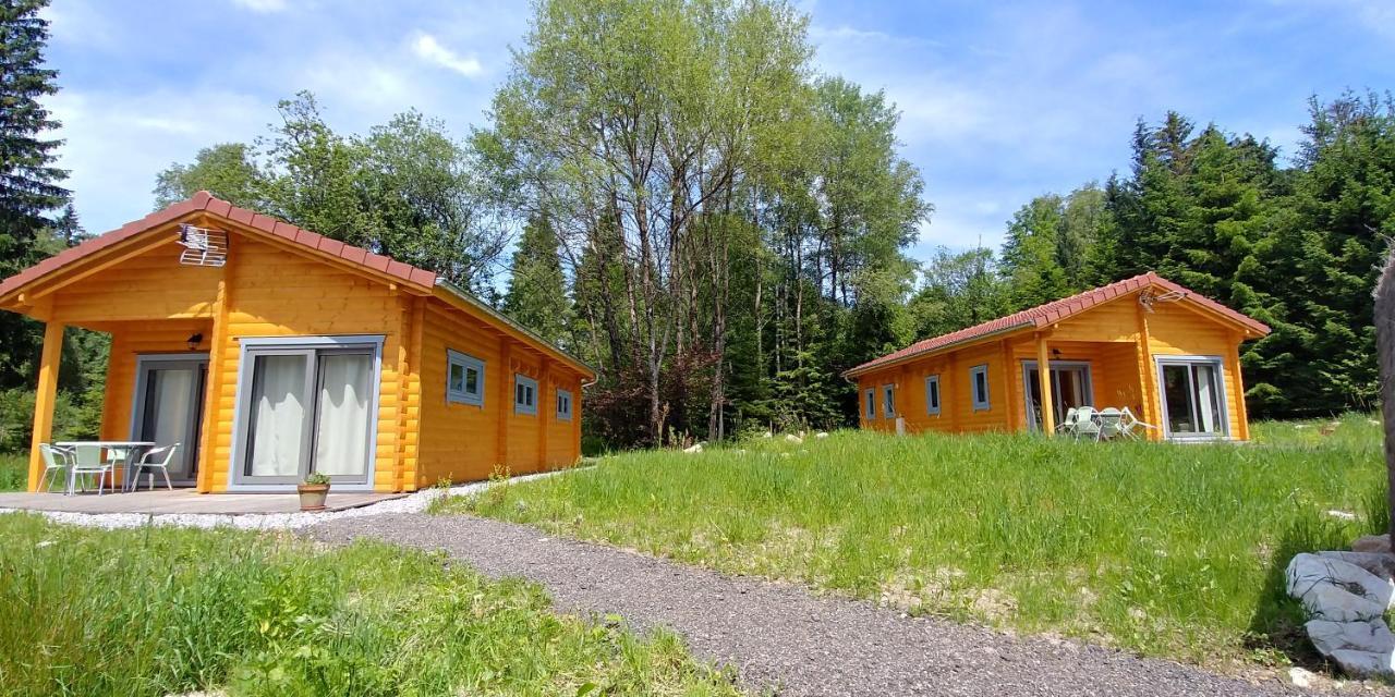 ג'רארדמר Chalet De Martimprey - Chalets - Gites - Chambres D' Hotes Et Spas מראה חיצוני תמונה