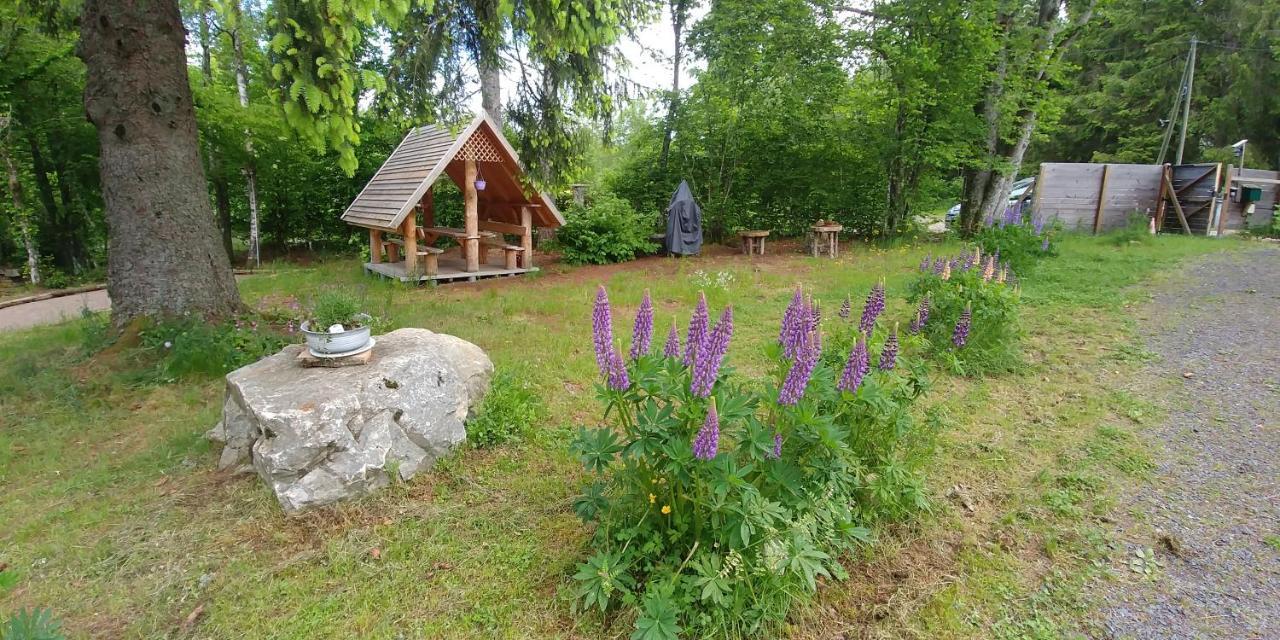 ג'רארדמר Chalet De Martimprey - Chalets - Gites - Chambres D' Hotes Et Spas מראה חיצוני תמונה