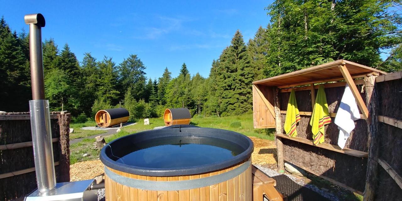 ג'רארדמר Chalet De Martimprey - Chalets - Gites - Chambres D' Hotes Et Spas מראה חיצוני תמונה