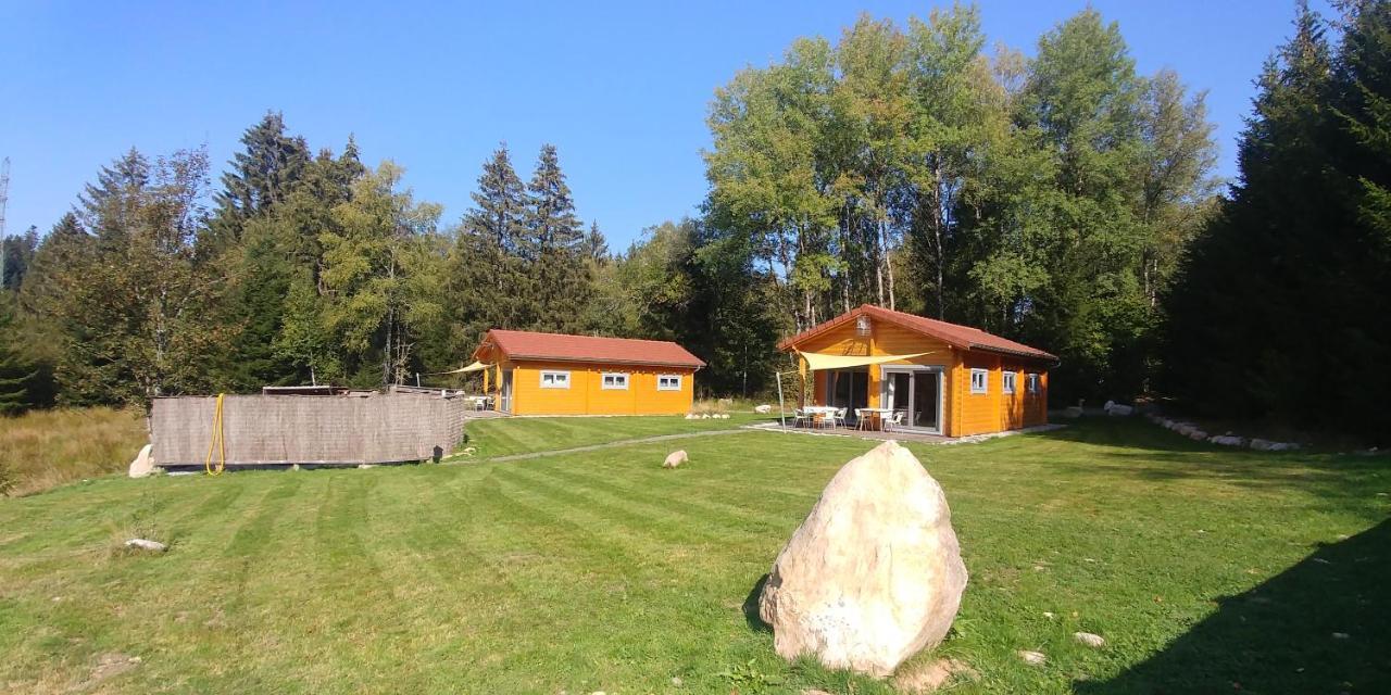 ג'רארדמר Chalet De Martimprey - Chalets - Gites - Chambres D' Hotes Et Spas מראה חיצוני תמונה